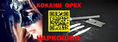 дмт Бийск