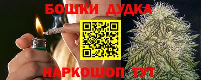 дмт Бийск