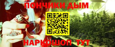 дмт Бийск