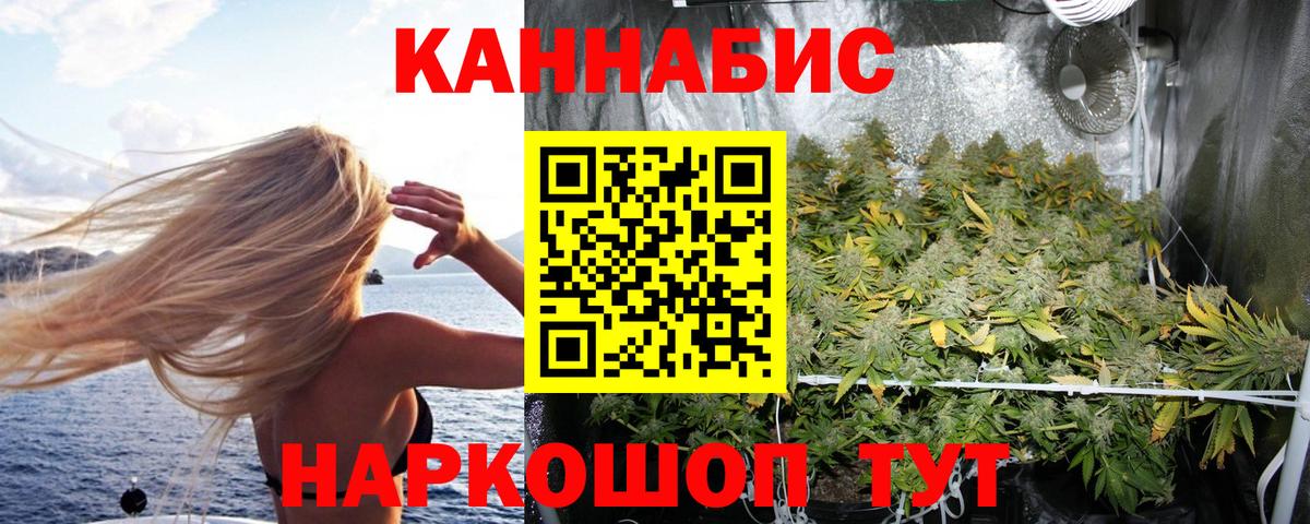 Бошки Шишки MAZAR Владимир